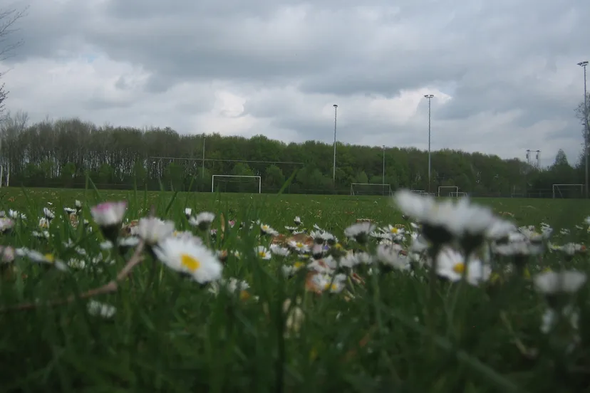 veld