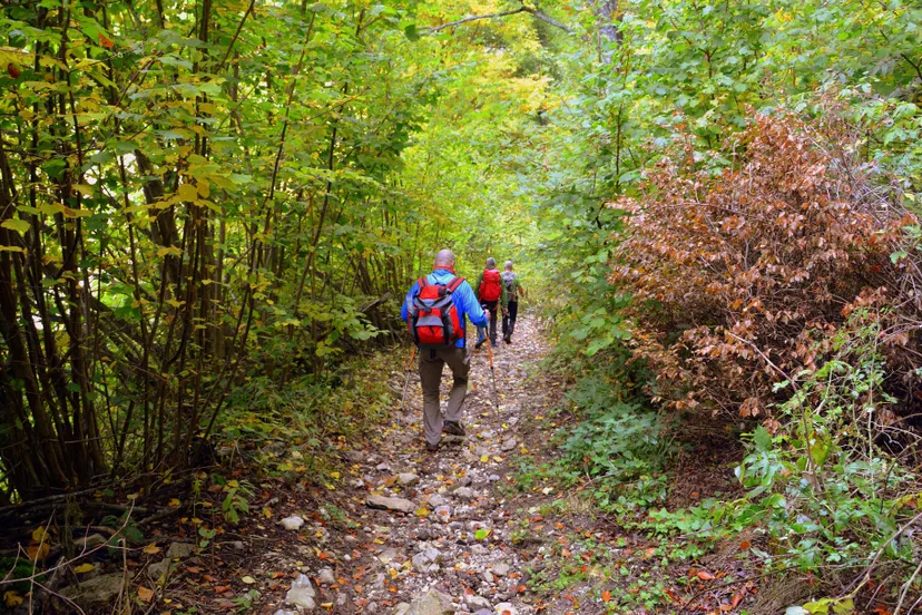 wandelen herfst 01 1