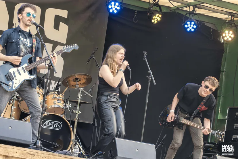 waogstock article5 op het young talent stage