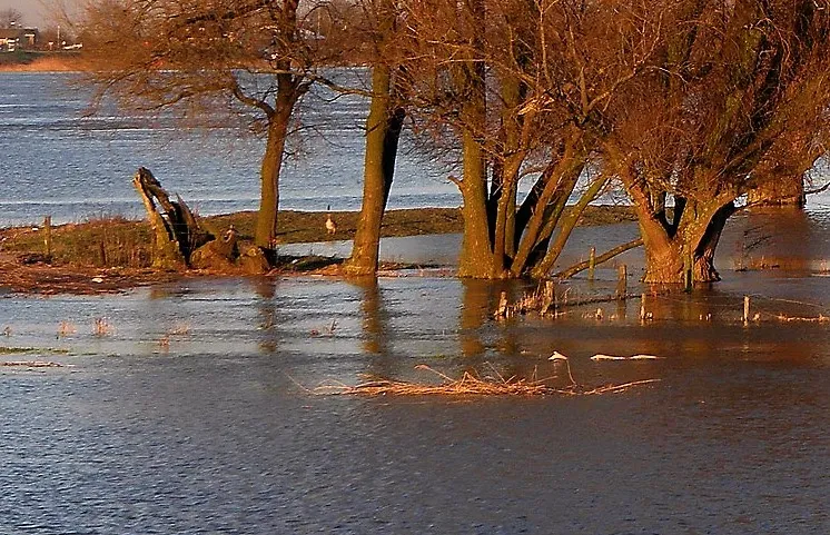 water g6b0ee926d 1920