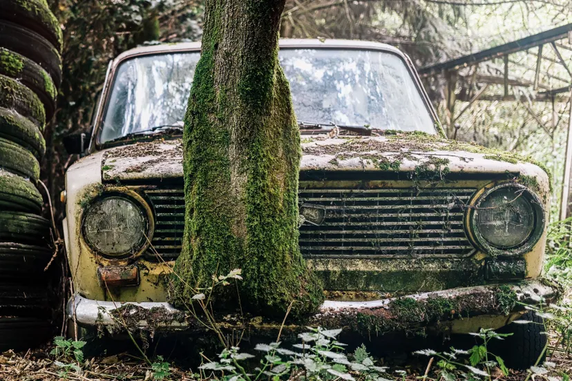 picture derelict abandoned car forest