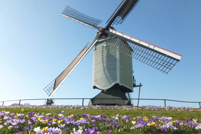 pb hkl auroramolen baexem