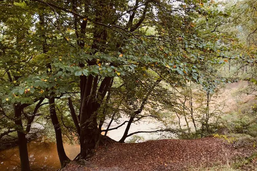 driestromenwandeling