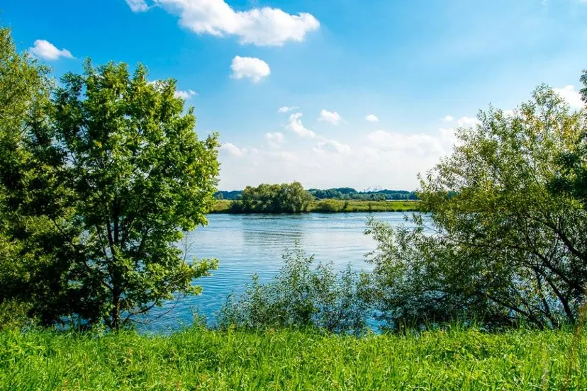 2015 leudal buggenum 004