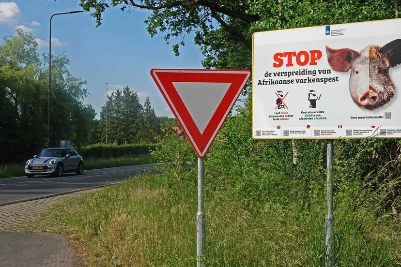 6852ac1eb9d0b w640eb9d0c anp528219078kopie