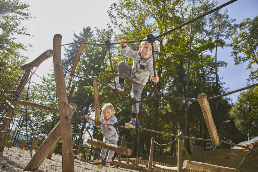 happy kids playing wooden playground daytime