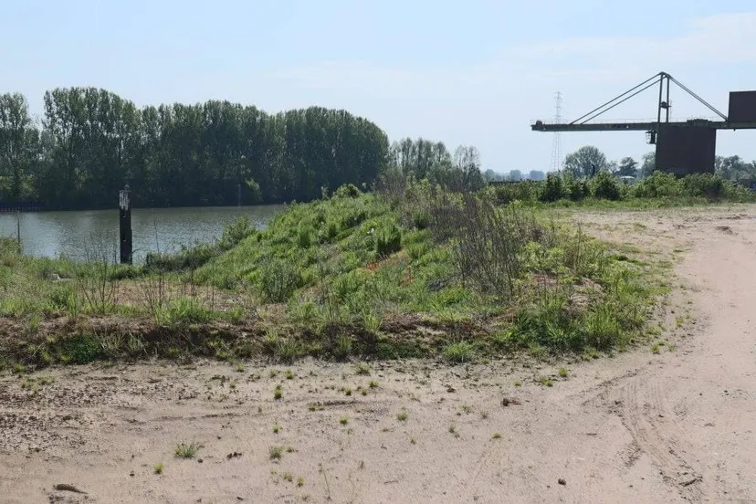 zevenellen 8 1024x683