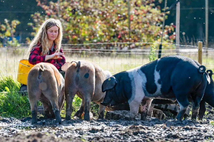 75640708_557780594780119_1565446499138011136_n