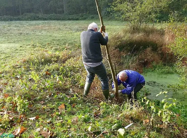 activiteiten-natuurwerkdag-1