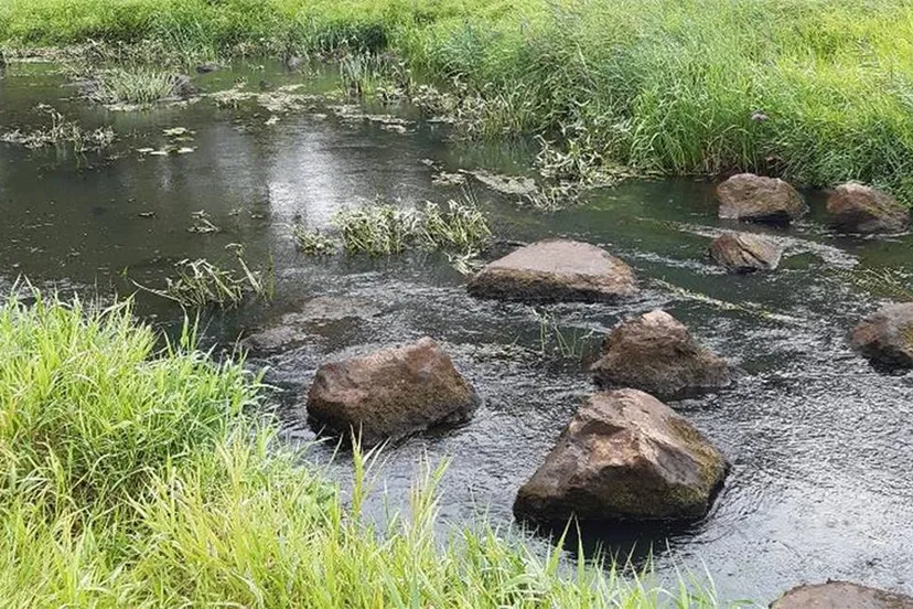 Stiltewandeling 2-2-2025 (1)
