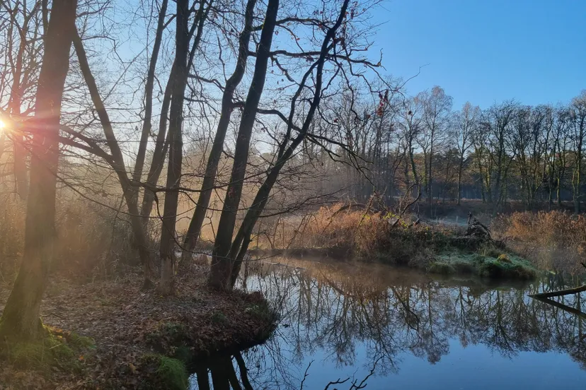 leubeek zon stilte wandeling
