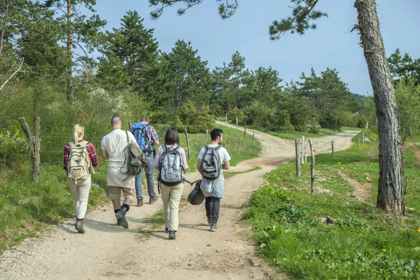 back-view-young-friends-with-backpacks-walking-forest-enjoying-good-summer-day