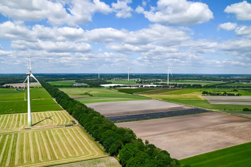 Zuidenwind2025-09