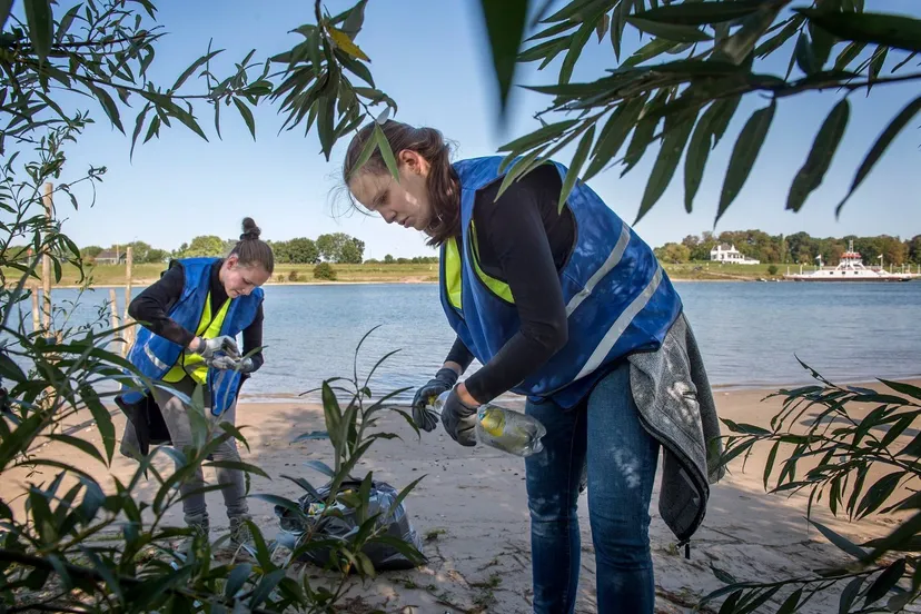 1584 1156041bc0d98f957497e984d20d07fe