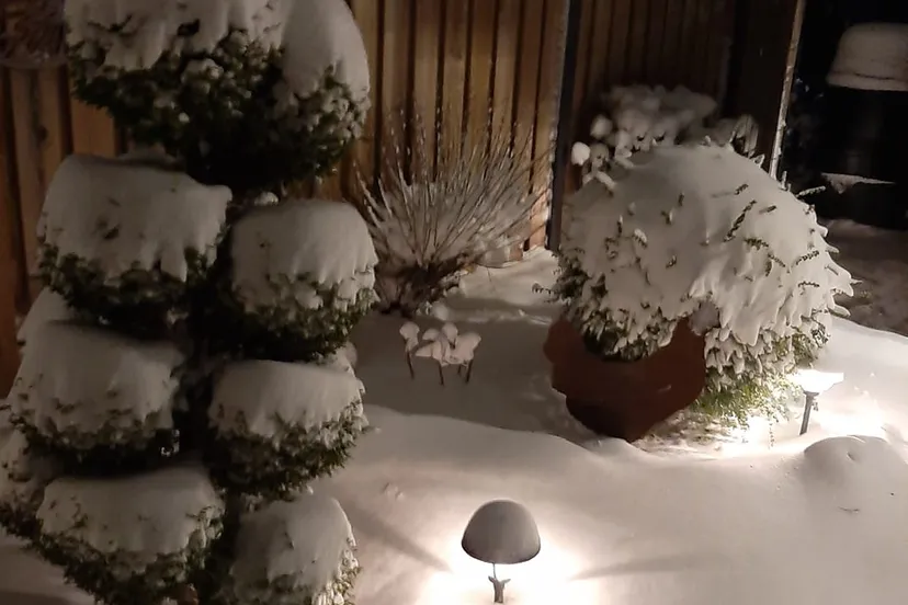 achtertuin van jacqueline lentjes in bemmel o