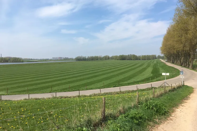 agrarische grond en huidige toegangsweg 1