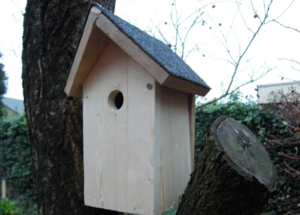 agvdz0qwy7qhsoo0stk3p8fzq 1 1048