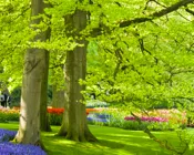 akiyp08hbp1s91qhyu58kdbj1 230669