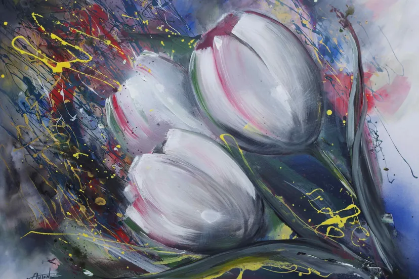 anton selman01dagtulp