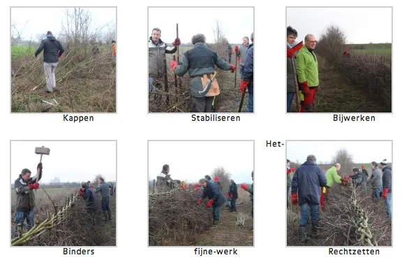 aw6muaoo2oa2hlxmeukam0afa 2 122