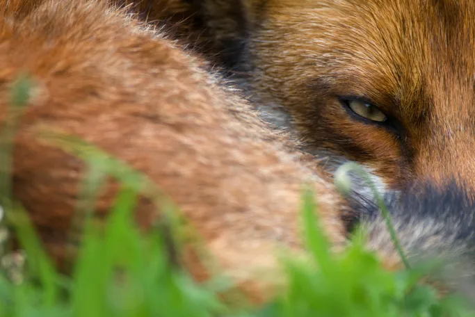 b27e0t1rxq51ifxqih3z5p2ex smit elst 31 mei