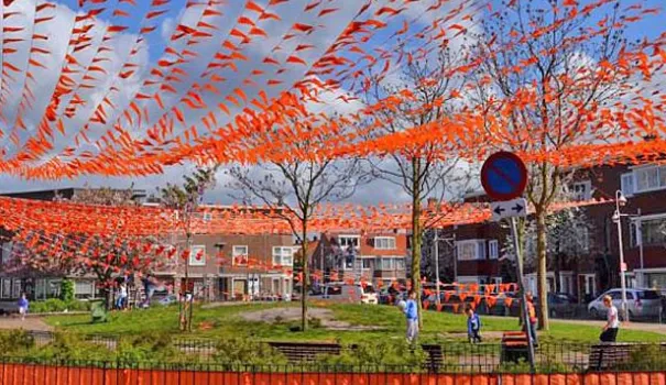 bbp4b4hmggrrha3lx9zqpavla 00 6