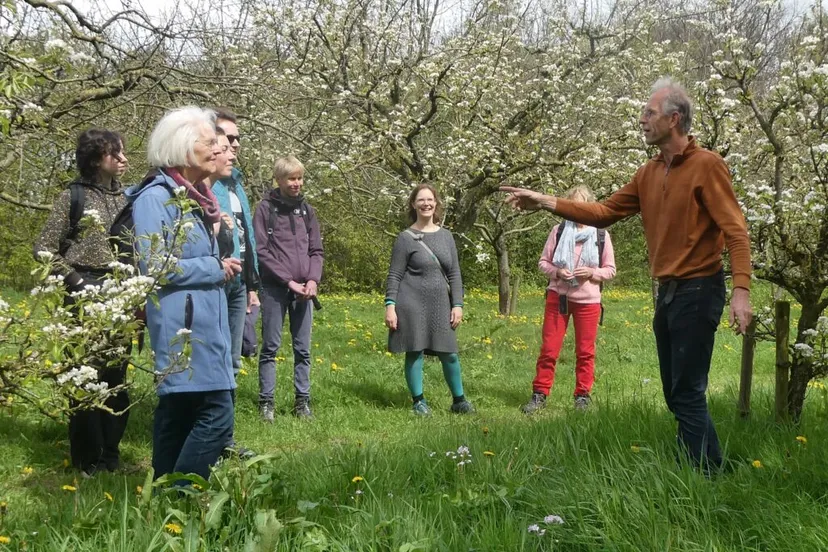 bloesemwandeling 1024x768 1