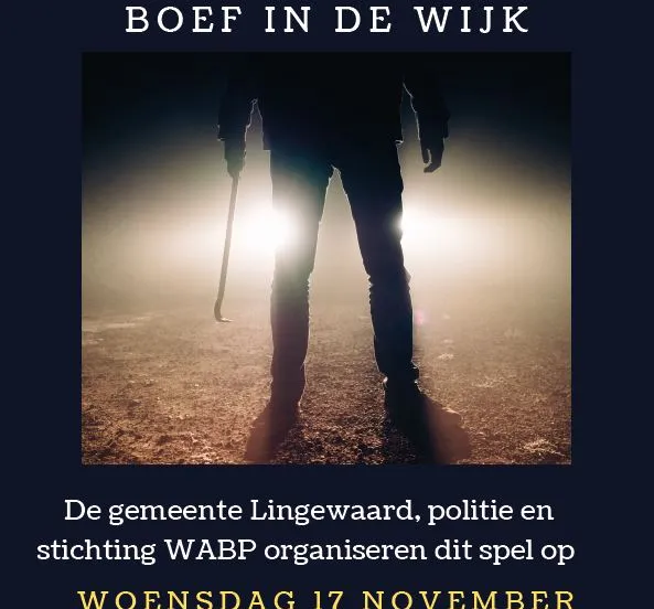 boef in de wijk n 1