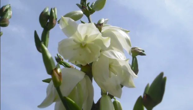 bufuuzzjrtz9qzvzv1oaqb5y4 2014 03 0817 23 58