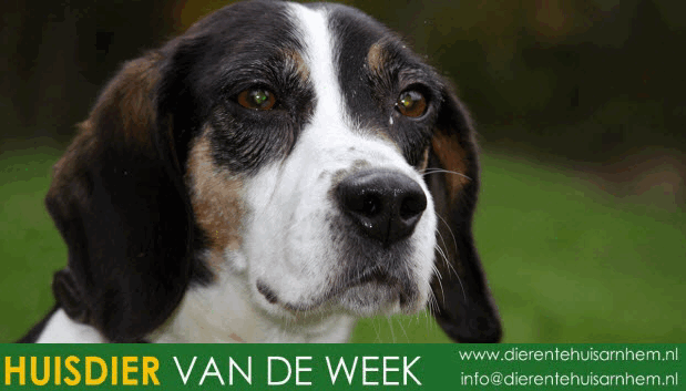 cic7w3tgv9uz9h820o8iq4dmr 2013 12 1610 19 17