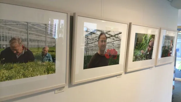 cn5w2zddye3wgcq95av18dv5x 1 431