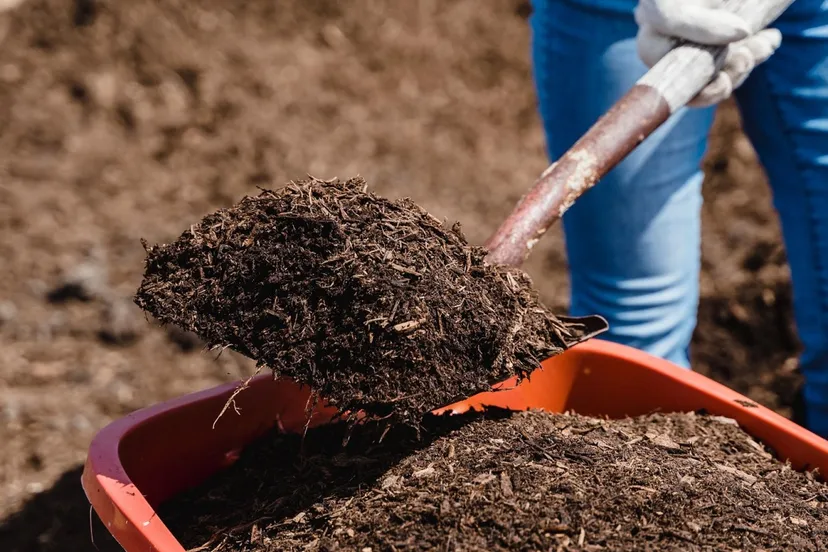 compostdaggemeentelingewaard