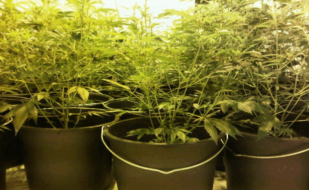 d56obbz0r2v4ia1np687xnene 2013 12 1810 48 44