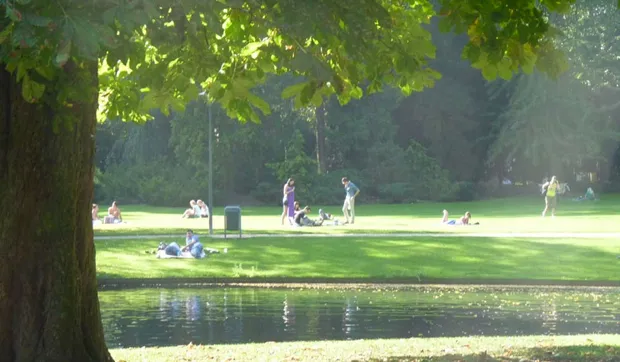 d846gg4gog7ue2pnep9auuqso 1 72