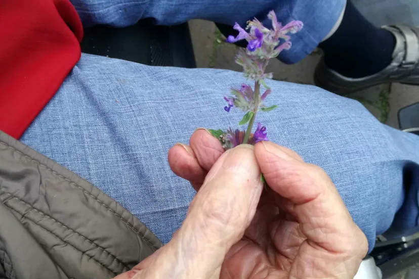 dagin teken van dementieimg 20190611 185819 scaled