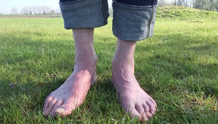 dauwtrap lingewaard natuurlijk