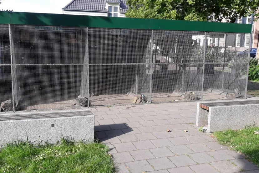 dorpsvolierebemmelgemeentenieuws59e35085 b5fb 4461 ba36 58c543190afa thumb1440