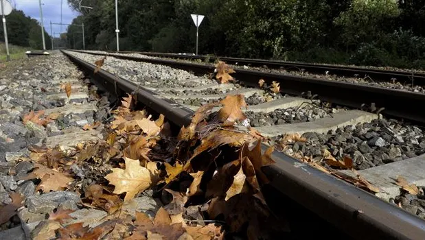 dp85tzrx966u4ahdbhef088jc ns 4