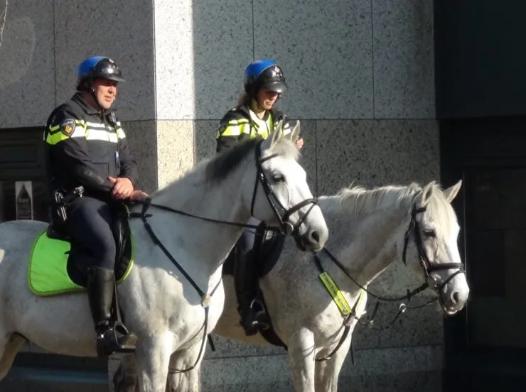 dsc01776 e1492690909885