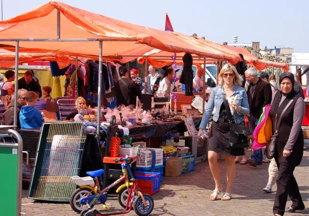 dsmvfknvw1j3g7g5385z8w0r1 1 554