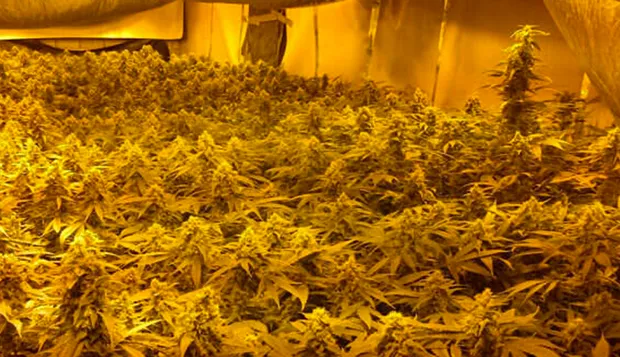 e3th86bk4sveq9i08tfk1udka 1 24