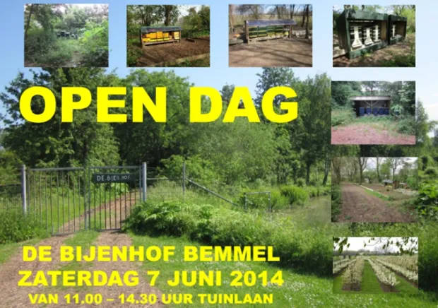 eancbhf2irl65lfp3y0bhdmim 11 17