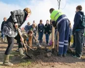 ehhzzcf0q2ls5vtp8cveg6fb3 216747