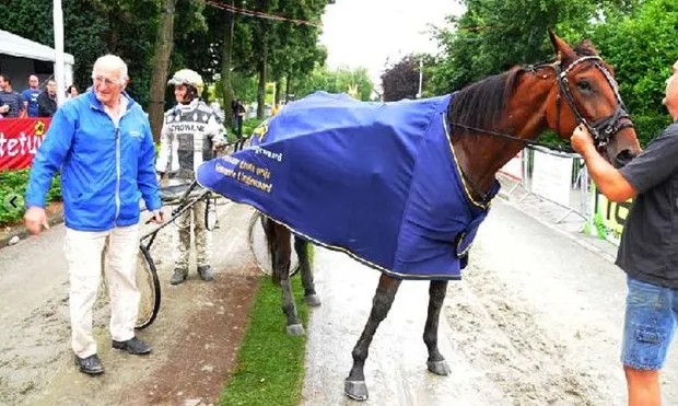 em6n0bs4h7khv5xh0jun3v9qj 2013 07 1717 28 11