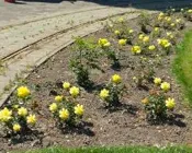 empgc66t3c2sjurt6q5sk1rdl 229100