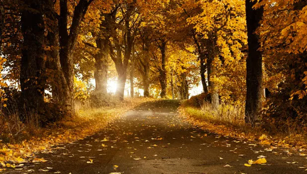 eyzobv47gfmvwfhlgkzfu3rs5 2013 11 2311 14 17