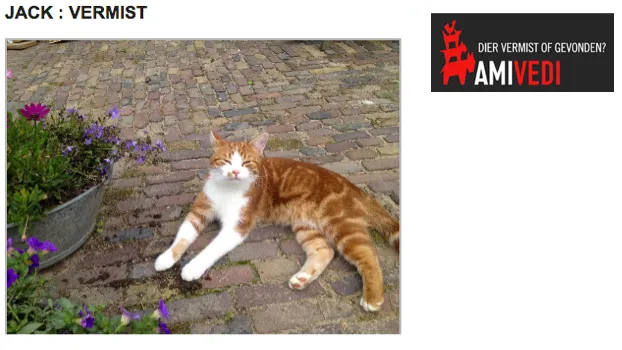 f23wr98d224mak3nk50eubdlc 1 301