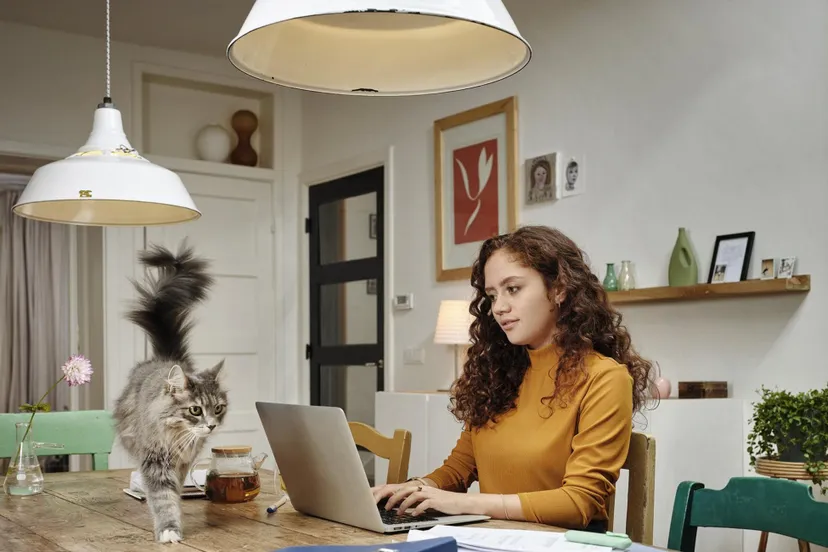 financiele veranderingen in 2022 wijzig dan je voorlopige aanslag belastingdienstnl