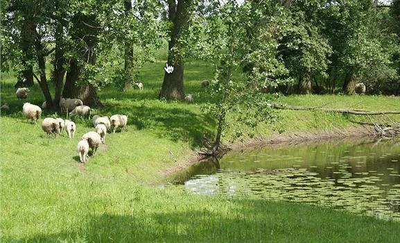 flm7duv6oclx0bojyuuguiin8 1 419