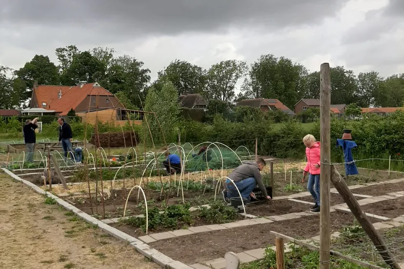 foto moestuin huissen